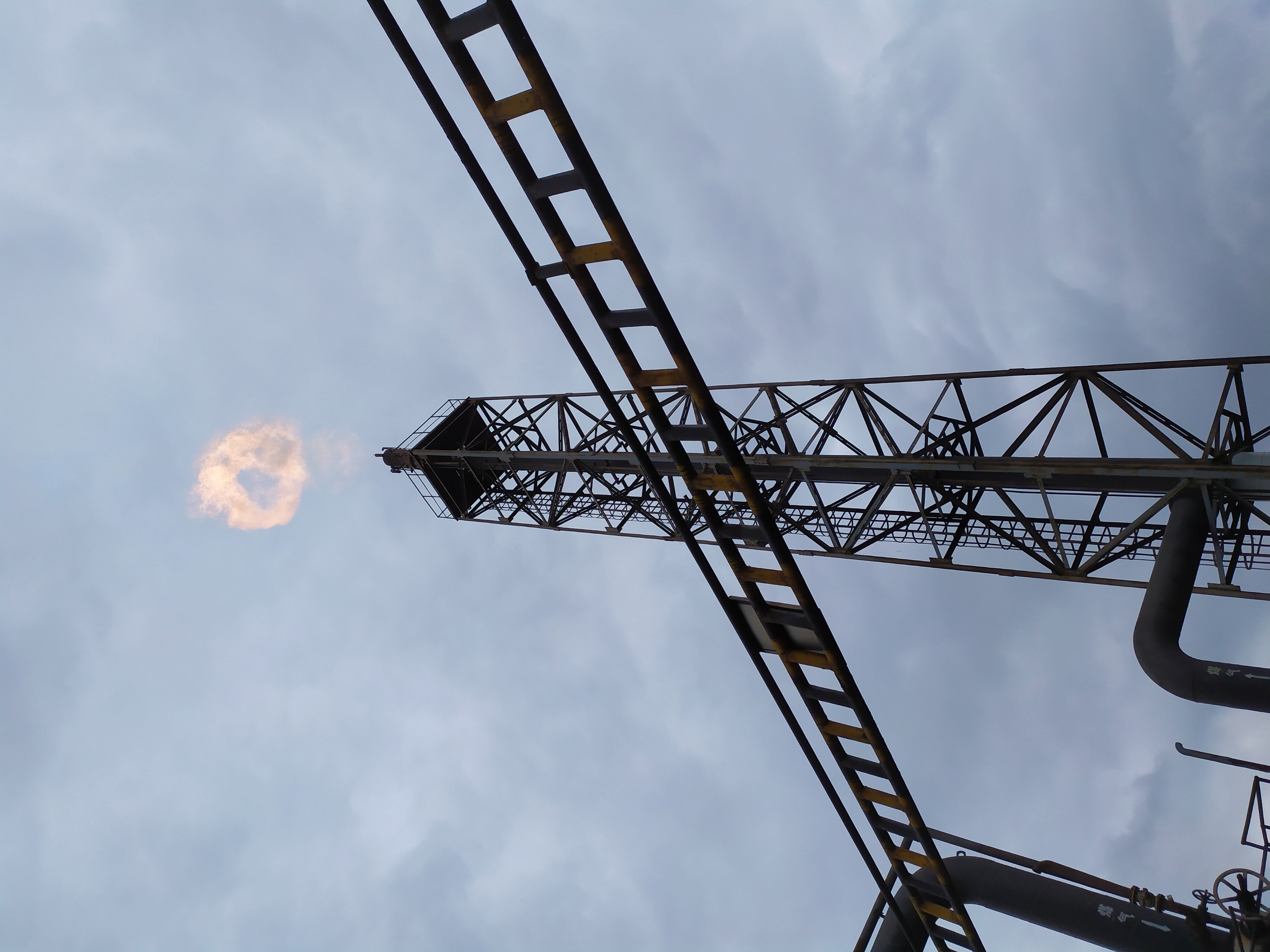 商家現貨火炬系統,沼氣排放燃燒設備