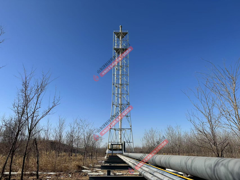 寧夏紫光高架火炬